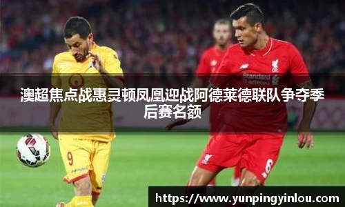 澳超焦点战惠灵顿凤凰迎战阿德莱德联队争夺季后赛名额